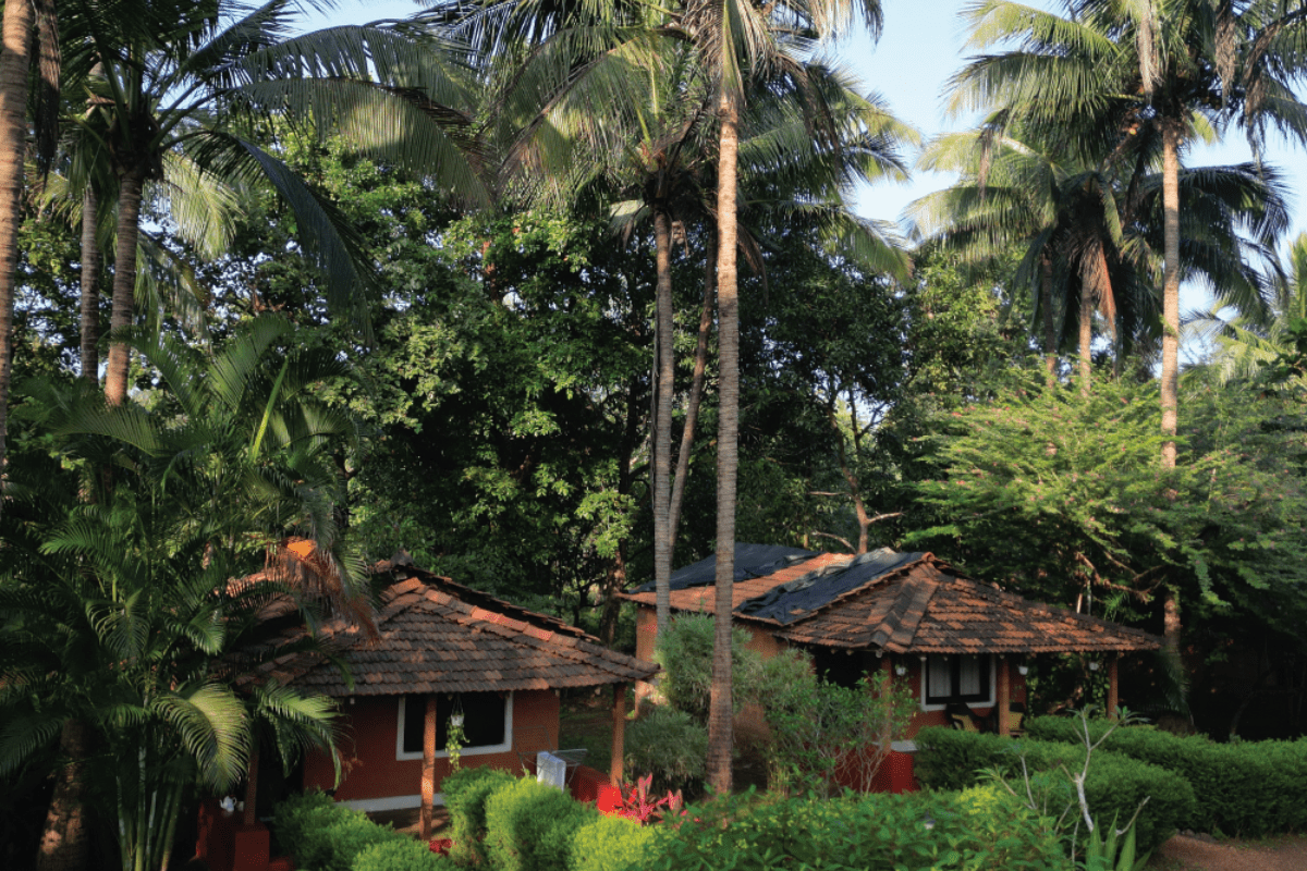 A cottage and the spring pool at Nature's Nest