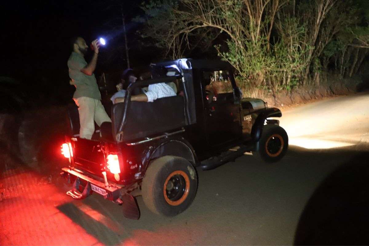 The open jeep for forest drives