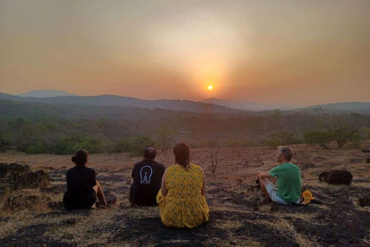 Evening at the property