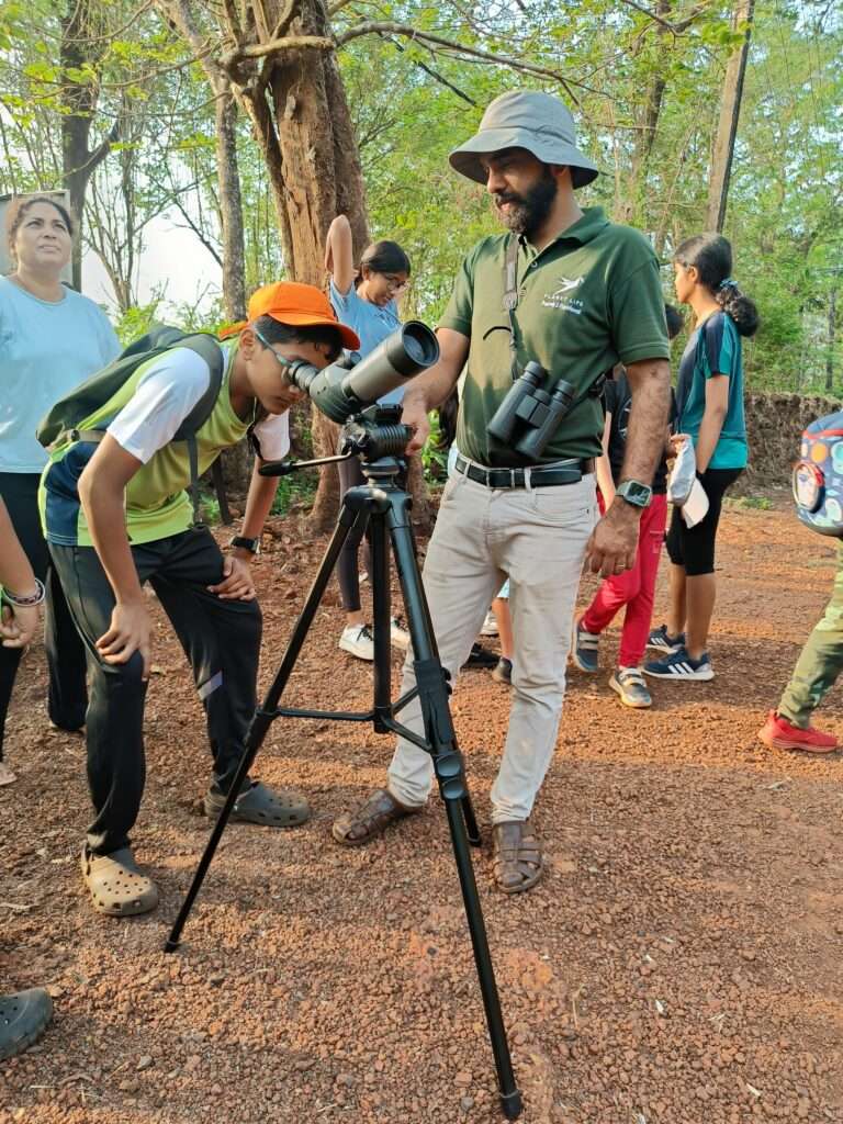 Guided nature walk