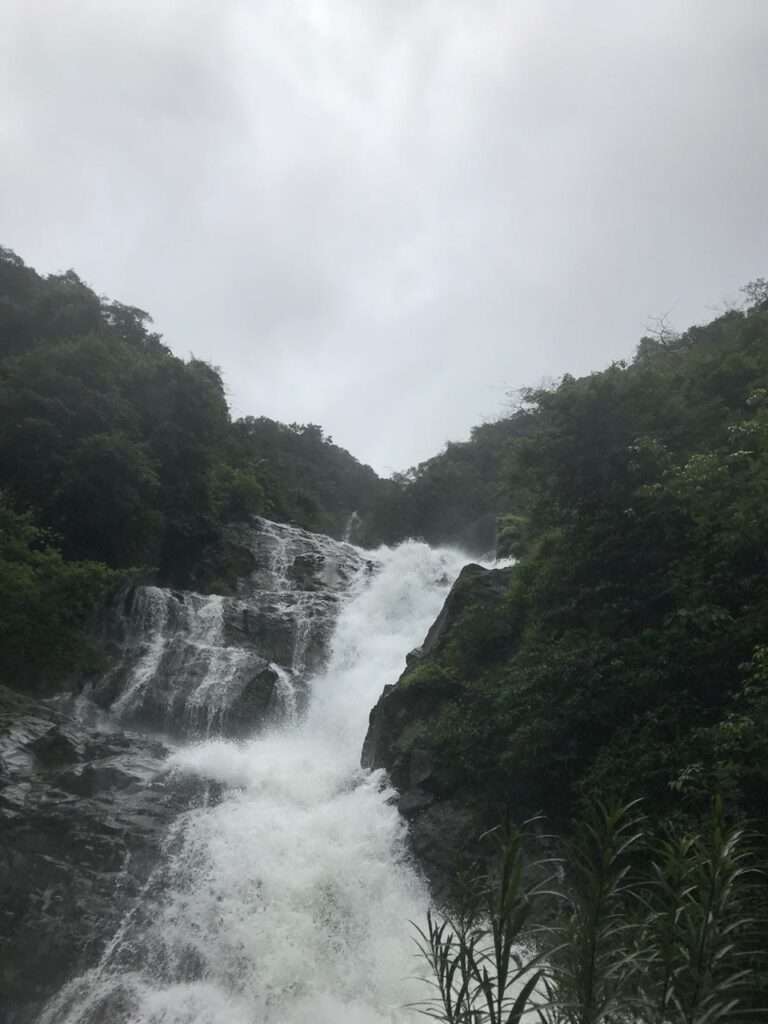 Nature Resorts in Goa