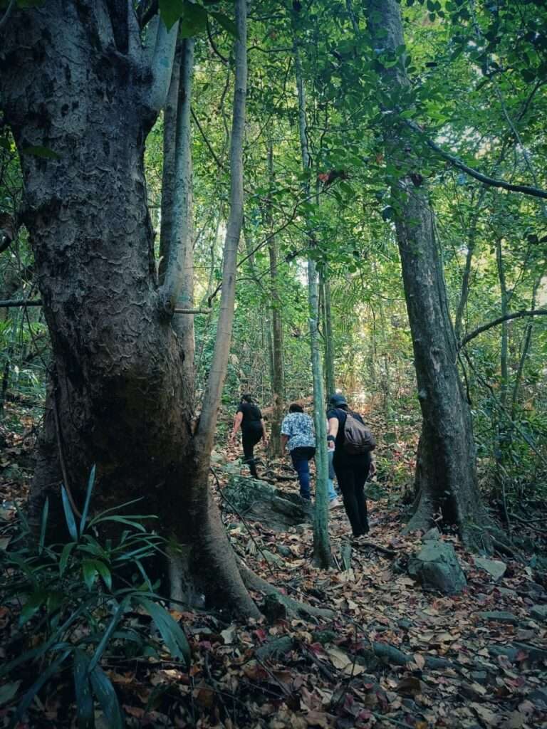 Enjoy Exciting Forest Trekking Adventures at Our Family Resort in Goa