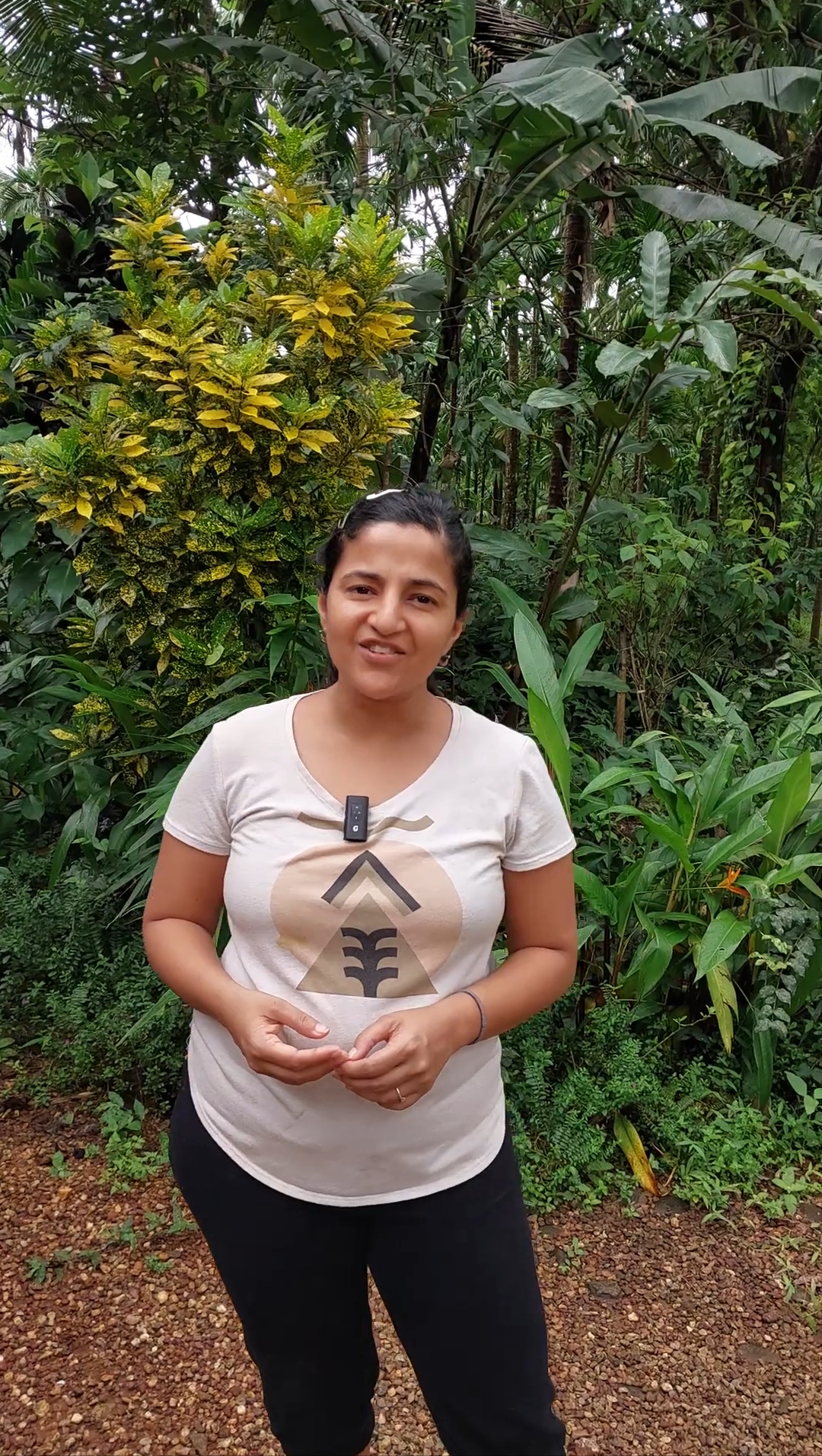 Jungle safari in goa
