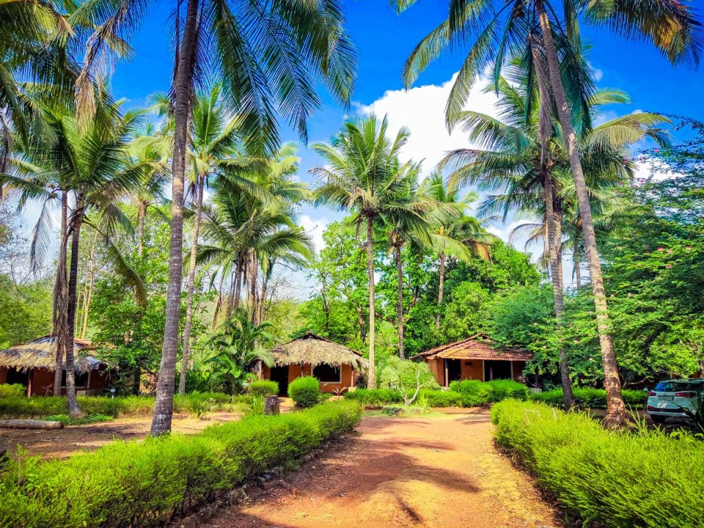 jungle safari in goa