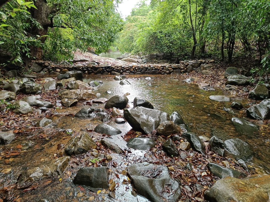 goa jungle adventure
