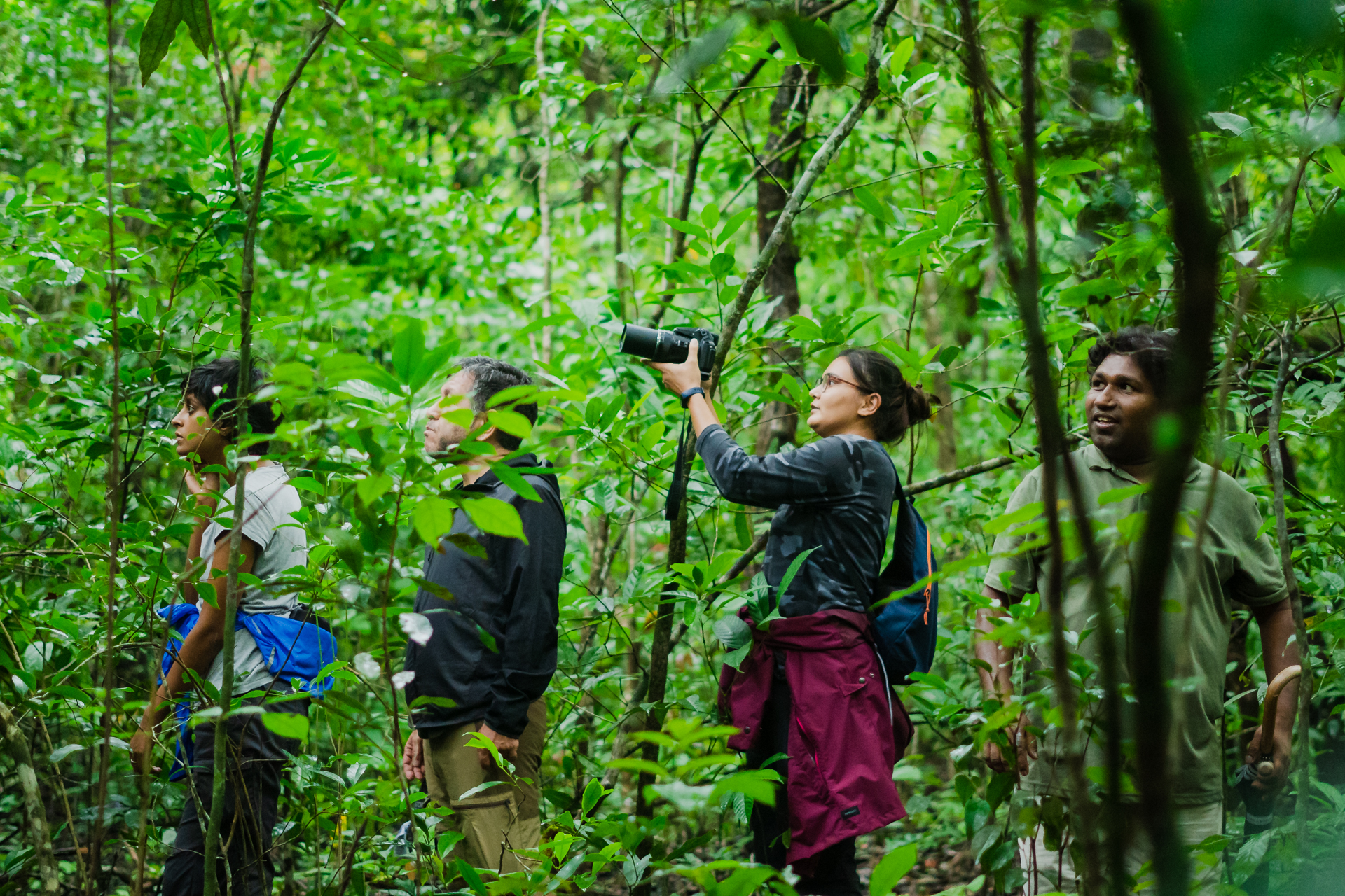 A forest trek through the Western Ghats