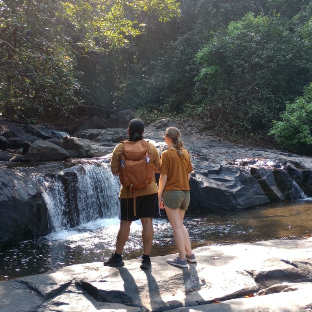 Couples Couples