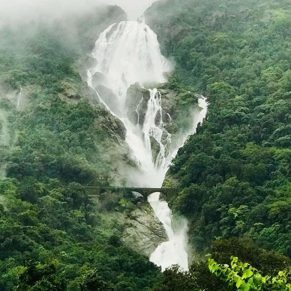 Enjoy the jungle safari in goa with Beautiful view of Dudhsagar Waterfalls near a family resort