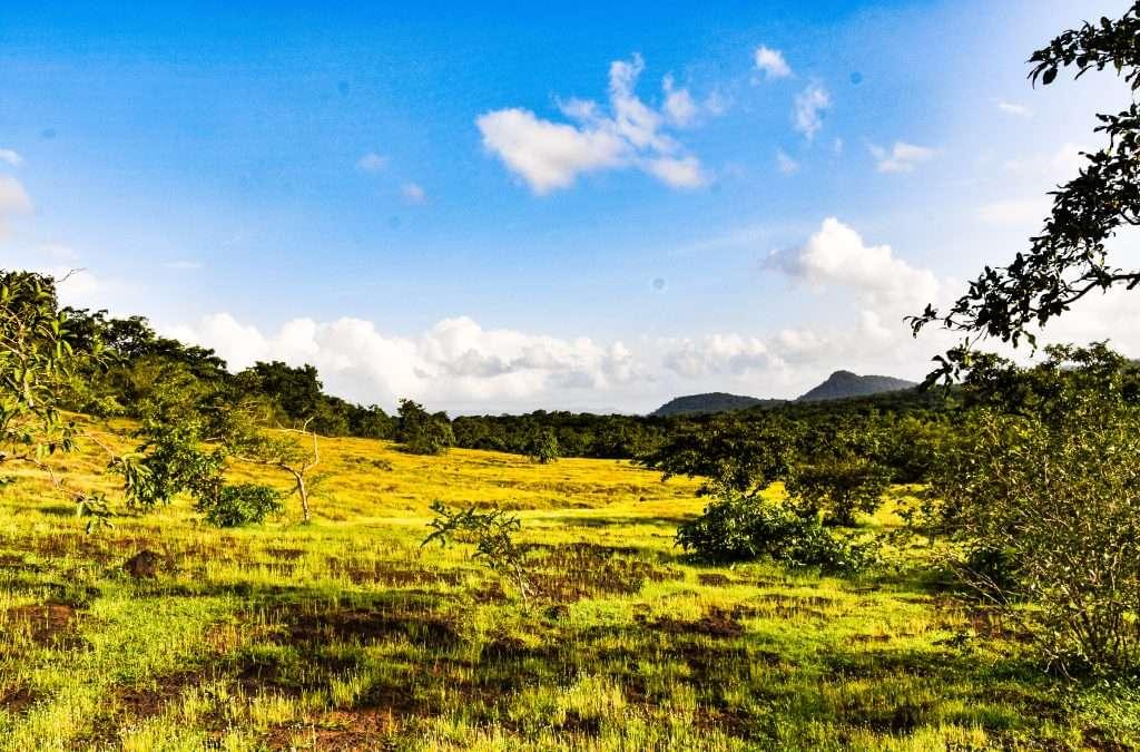 Nature Resorts in Goa