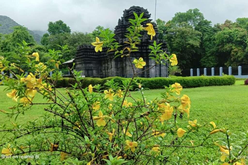 Nature Resorts in Goa