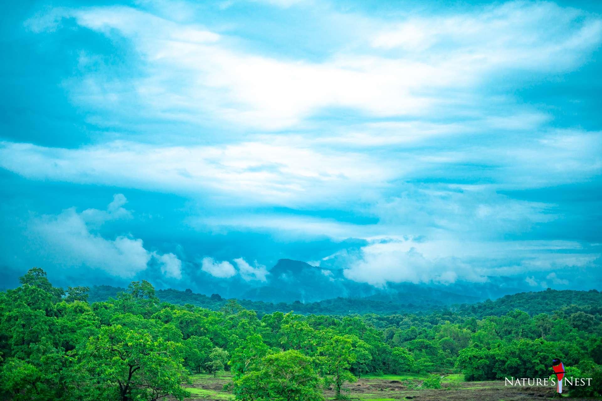 The majestic Western Ghats