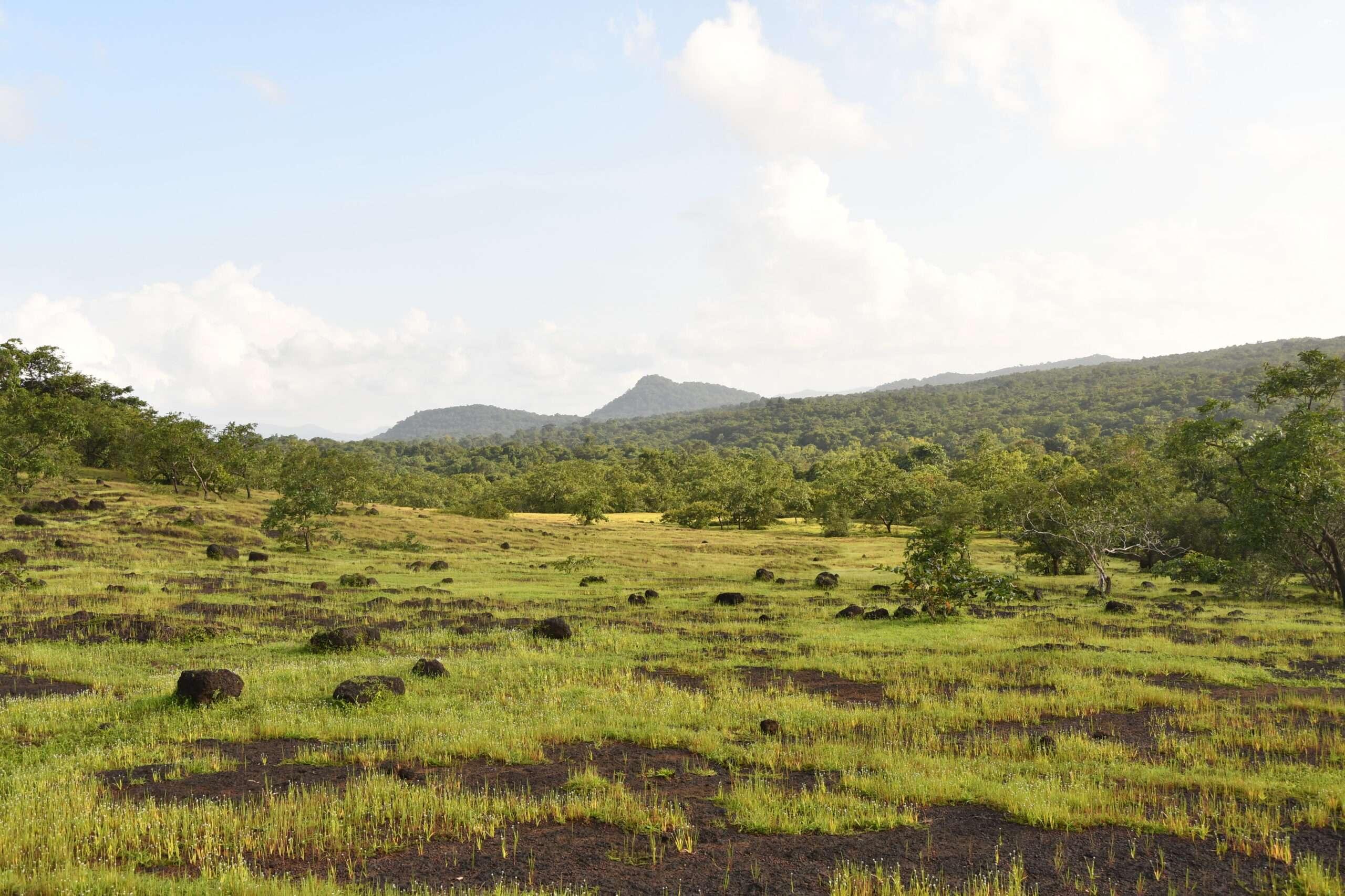 Landscapes (3)