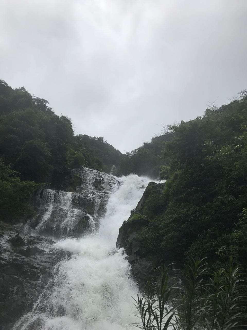 Nature Resorts in Goa