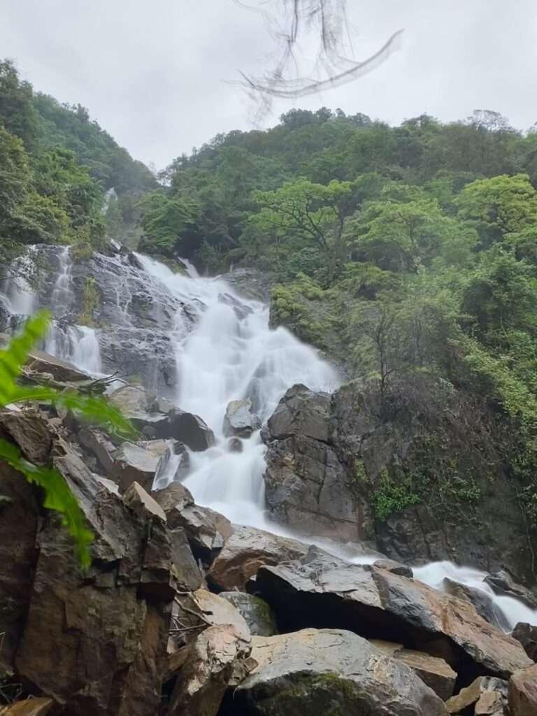 A family settled near an exotic resort in Goa is amazed to see the stunning waterfalls during the monsoon season
