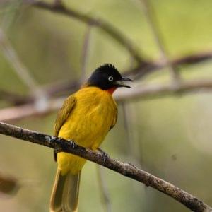 IMG-20241205-WA0271