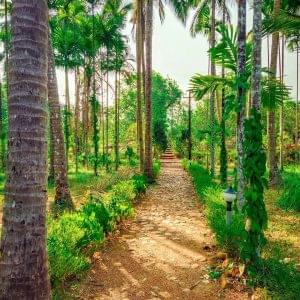 Pathway